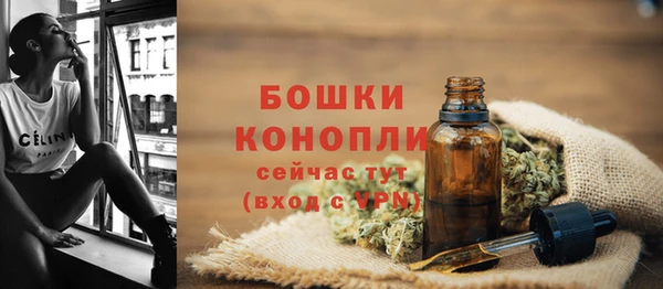 ГАЛЛЮЦИНОГЕННЫЕ ГРИБЫ Артём