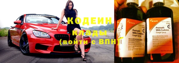 шишки Михайлов
