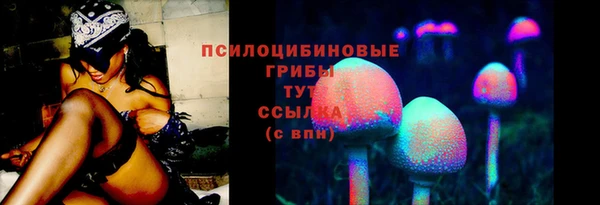 PSILOCYBIN Михайловск