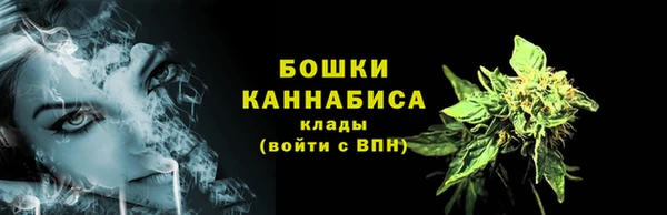 шишки Михайлов