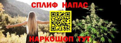спиды Гусев