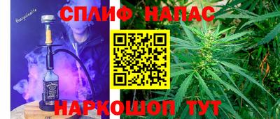 спиды Гусев
