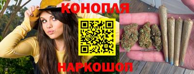 сатива Гусиноозёрск