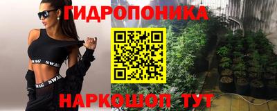 сатива Гусиноозёрск