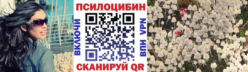 Псилоцибиновые грибы Psilocybine cubensis  наркота  Сыктывкар 
