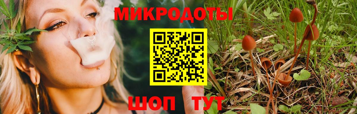Галлюциногенные грибы ЛСД Сыктывкар